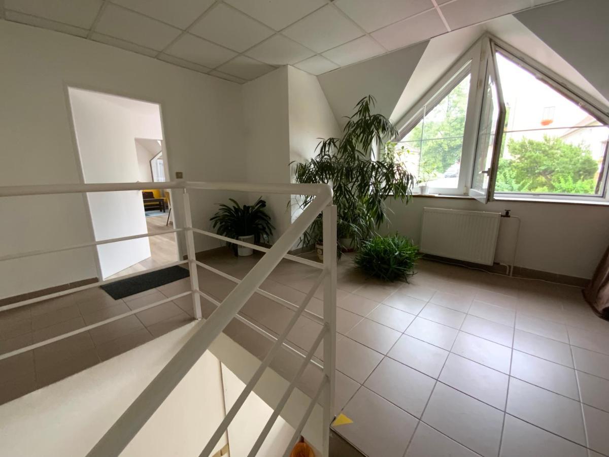 Apartman Discoveryou Rájec-Jestřebí Dış mekan fotoğraf